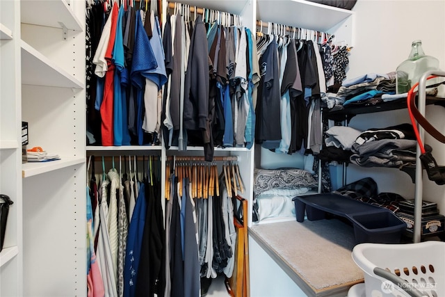 view of spacious closet