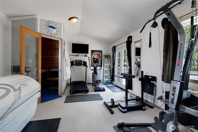workout room featuring a wealth of natural light, carpet, and lofted ceiling