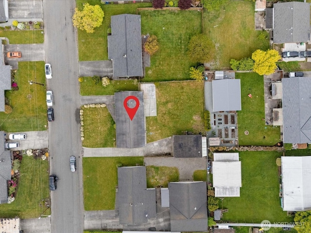 bird's eye view