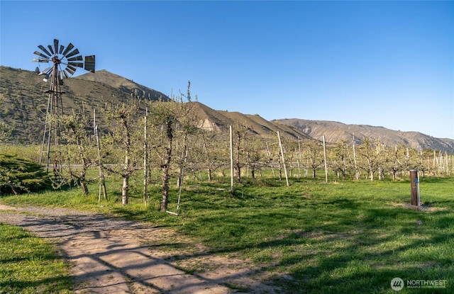 23041 State Highway 97, Orondo, WA 98843