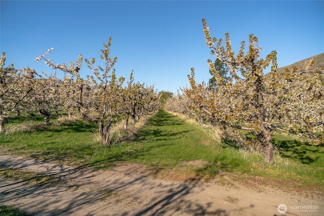 23041 State Highway 97, Orondo, WA 98843