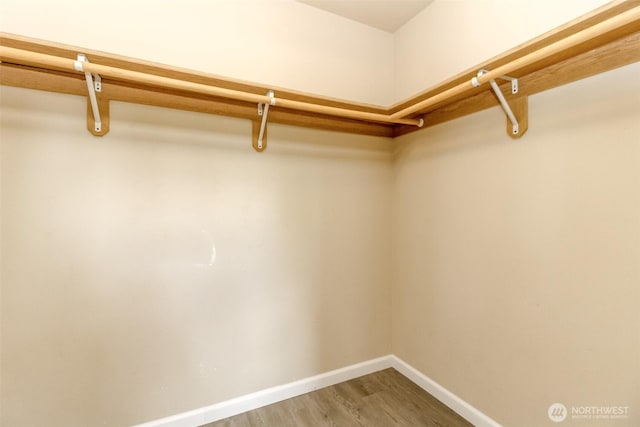spacious closet featuring light wood-type flooring