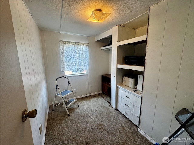 walk in closet featuring carpet floors