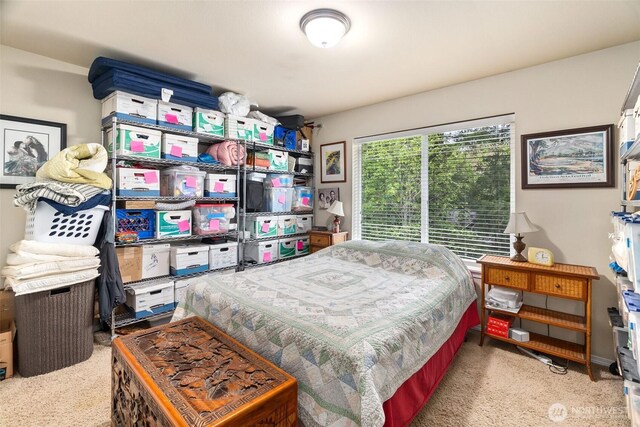 bedroom featuring carpet