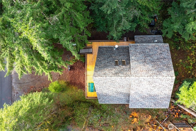 bird's eye view