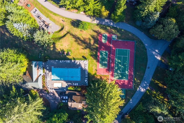 drone / aerial view