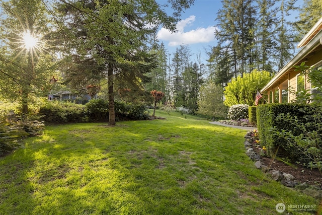 8957 Watson Pl NE, Bremerton, WA 98311 - view of yard