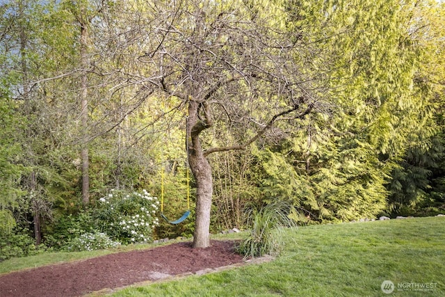 8957 Watson Pl NE, Bremerton, WA 98311 - view of yard with a view of trees