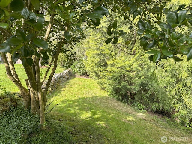 8957 Watson Pl NE, Bremerton, WA 98311 - view of yard