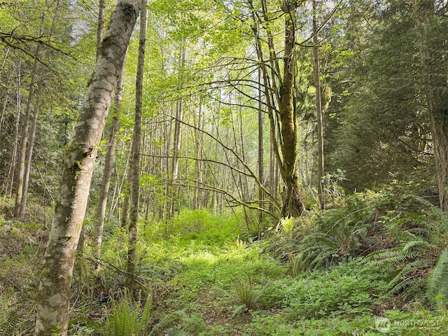 8957 Watson Pl NE, Bremerton, WA 98311 - view of nature with a forest view
