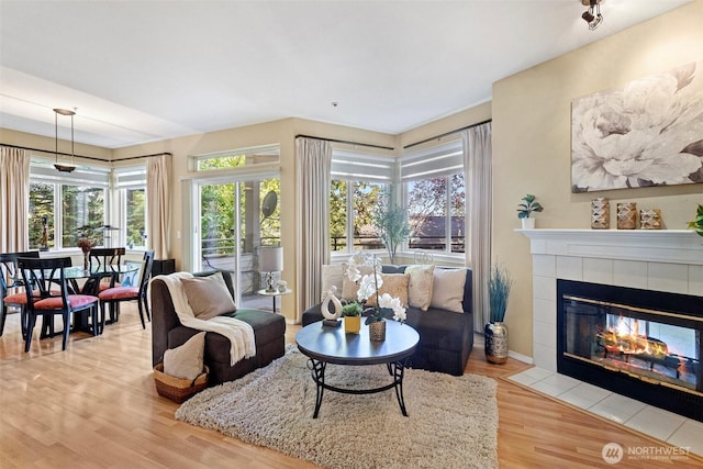 living room featuring baseboards, a fireplace, and wood finished floors