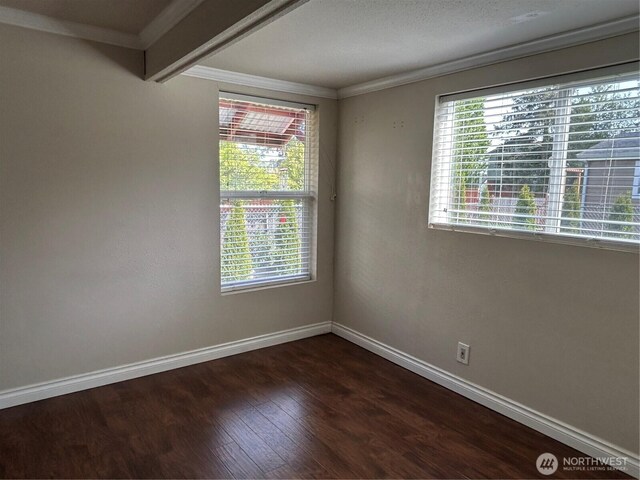 unfurnished room featuring baseboards, dark wood finished floors, ornamental molding, and a wealth of natural light