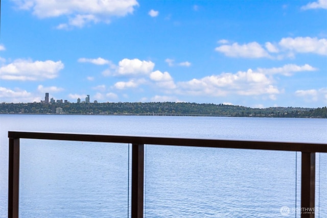 807 Lake St S Unit 300, Kirkland, WA 98033 - view of water feature