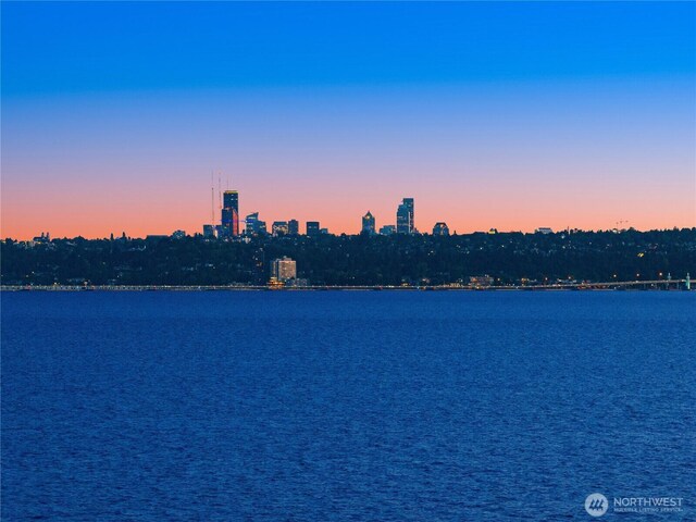 807 Lake St S Unit 300, Kirkland, WA 98033 - view of water feature
