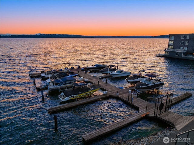 807 Lake St S Unit 300, Kirkland, WA 98033 - dock area with a water view