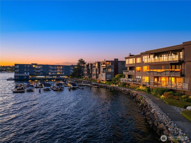 807 Lake St S Unit 300, Kirkland, WA 98033 - water view