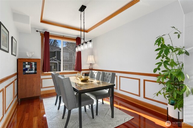 dining space featuring a tray ceiling, wood finished floors, a decorative wall, and wainscoting