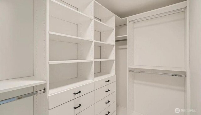 view of walk in closet