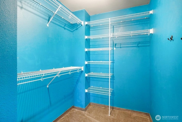 walk in closet featuring carpet flooring