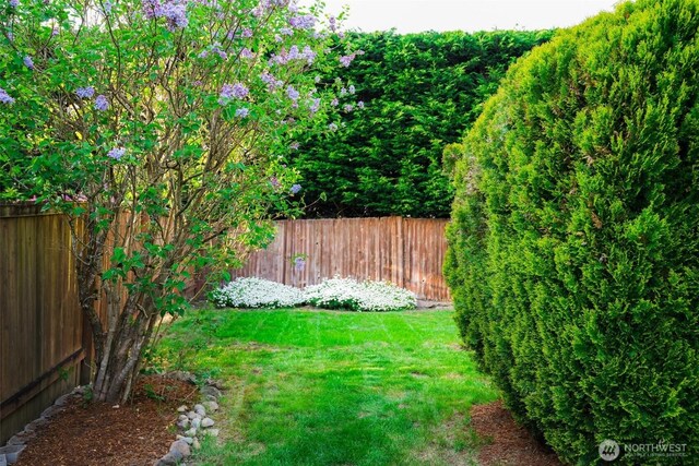view of yard with a fenced backyard