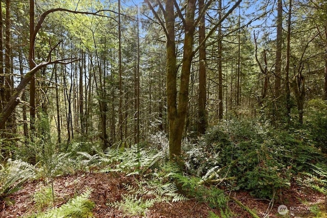 10509 Key Peninsula Hwy NW, Gig Harbor, WA 98329