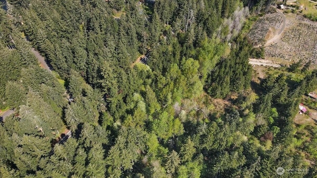 10509 Key Peninsula Hwy NW, Gig Harbor, WA 98329