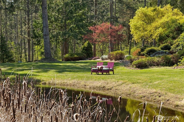 view of community with a lawn