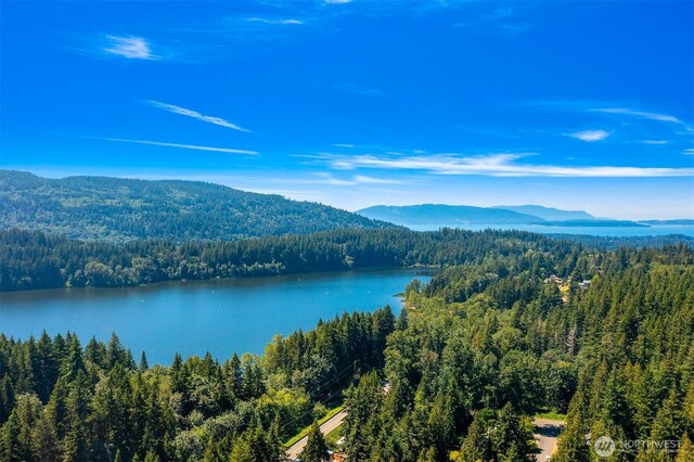 exterior space featuring a water and mountain view and a wooded view