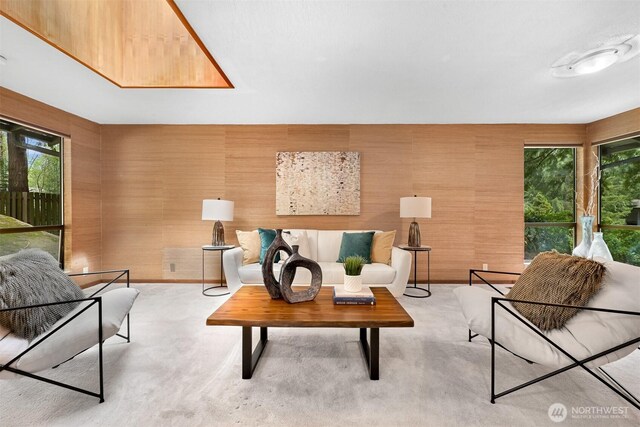 carpeted living area featuring baseboards and a wealth of natural light