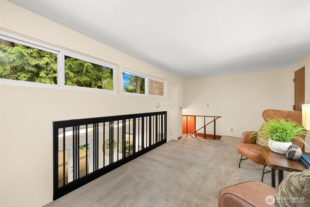 sitting room featuring carpet flooring, a healthy amount of sunlight, and an upstairs landing