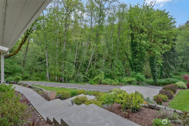 view of yard featuring a forest view