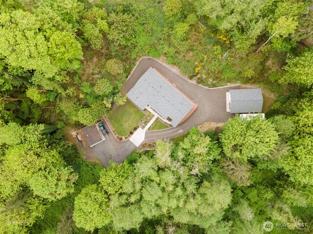 bird's eye view