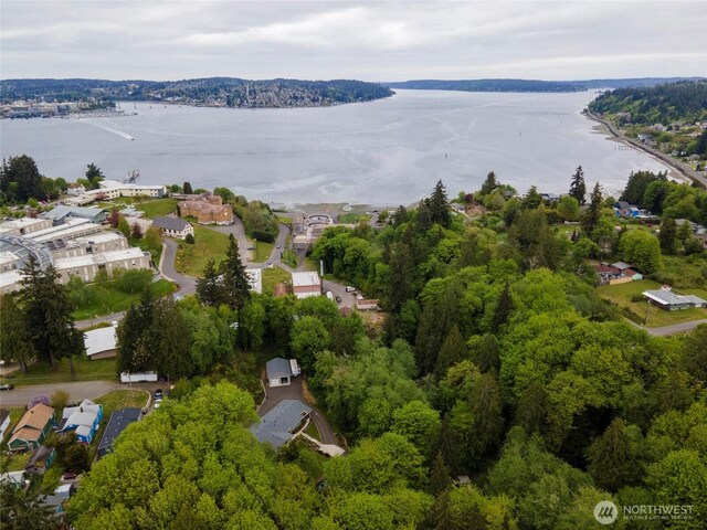 bird's eye view with a water view and a view of trees