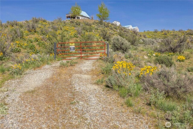 view of street featuring a gate and driveway