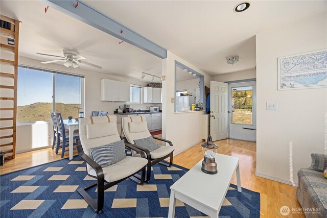 interior space with ceiling fan, a mountain view, and light wood-type flooring