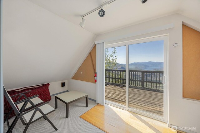 living area with track lighting, a mountain view, and lofted ceiling