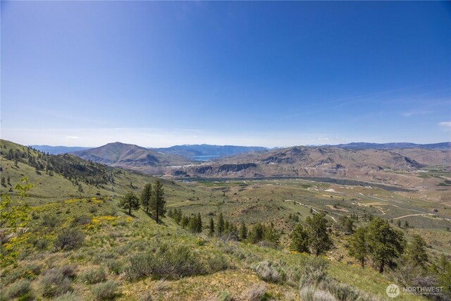 mountain view
