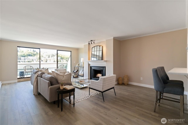 living room with baseboards, ornamental molding, wood finished floors, and a warm lit fireplace