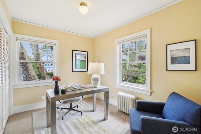 1238 E Newton St, Seattle, WA 98102 - office area featuring radiator heating unit, light colored carpet, healthy amount of natural light, and baseboards