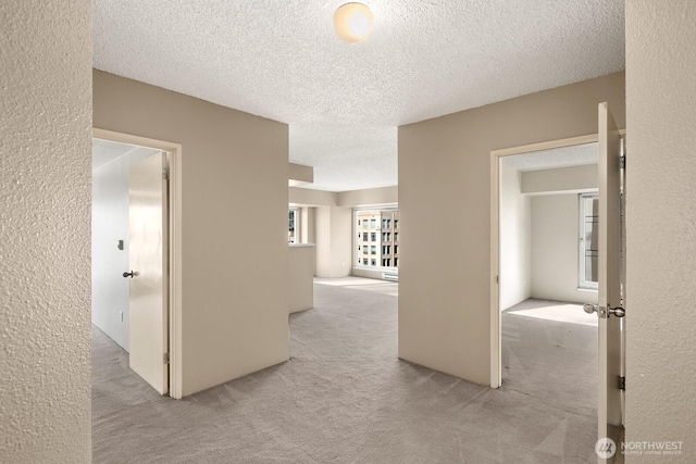 hall featuring carpet and a textured ceiling