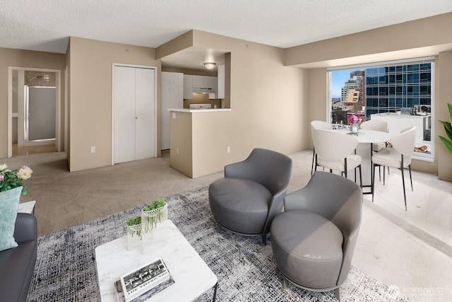 living room with light carpet and a textured ceiling