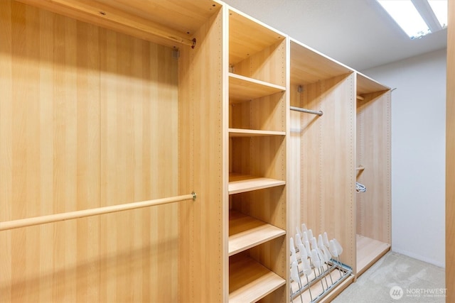 spacious closet with carpet