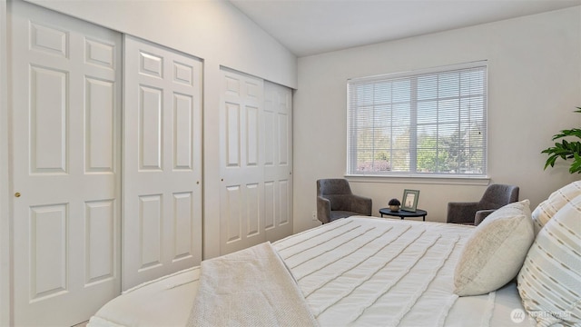 bedroom with multiple closets