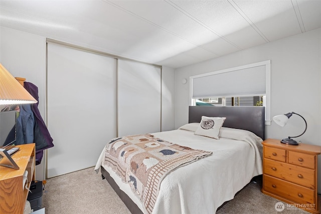 bedroom with a closet and carpet flooring