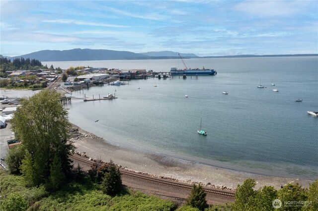 water view featuring a mountain view