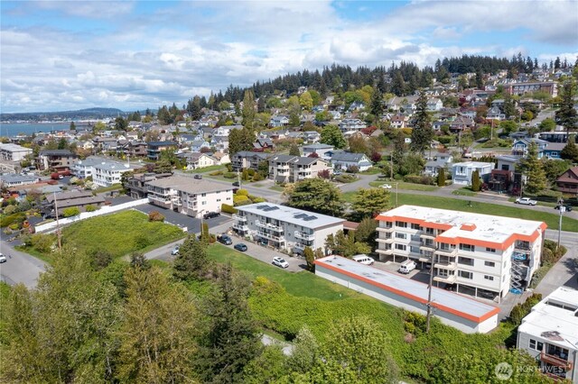 bird's eye view