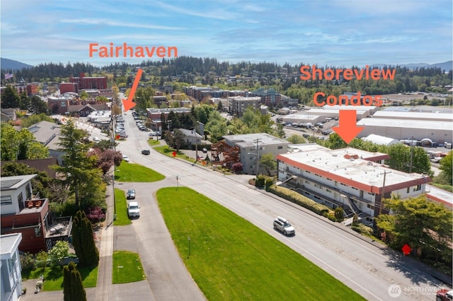 1014 11th St Unit 302, Bellingham, WA 98226 - bird's eye view