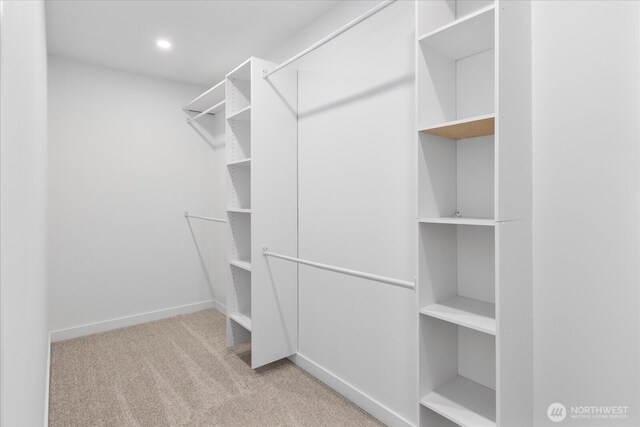 spacious closet featuring carpet floors