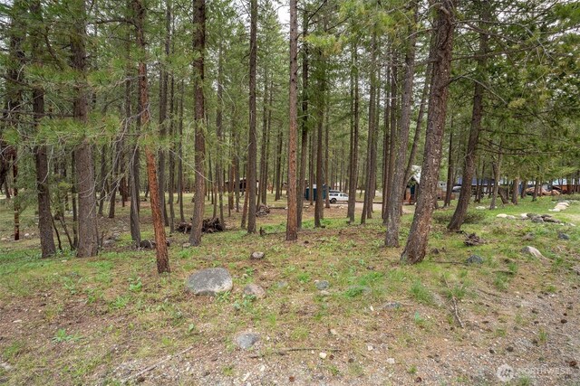 21 Littell, Mazama, WA 98833