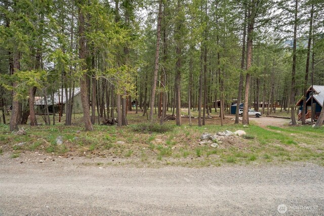 21 Littell, Mazama, WA 98833